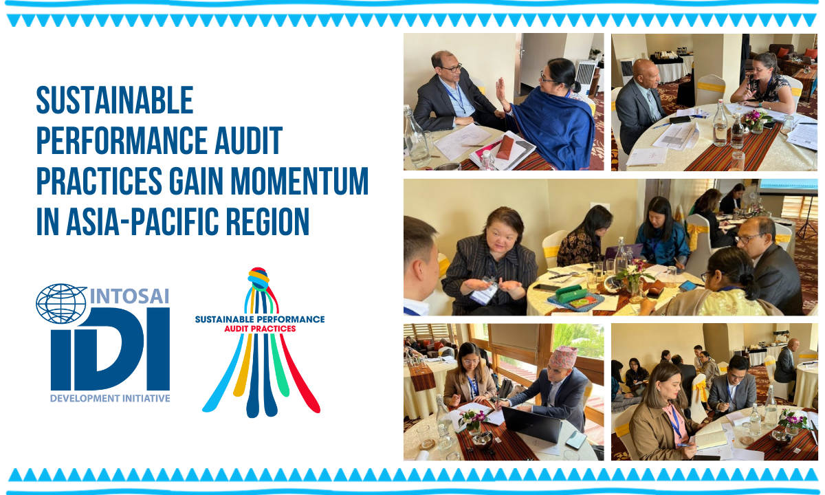 Strategic and Annual Audit Planning for Sustainable Performance Audit Practices in Asia-Pacific Region