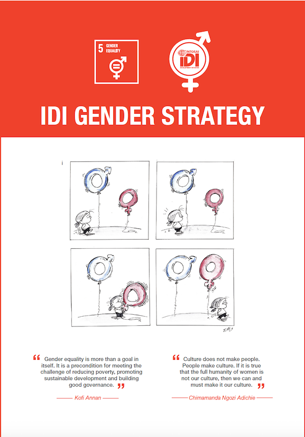 IDI Gender Strategy Cover