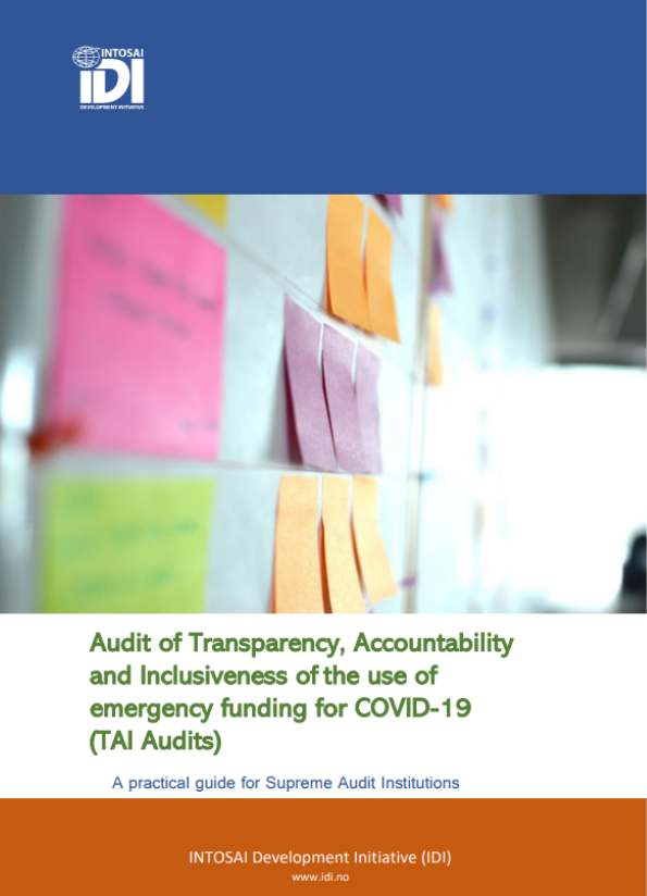 TAI Audit Guide Cover