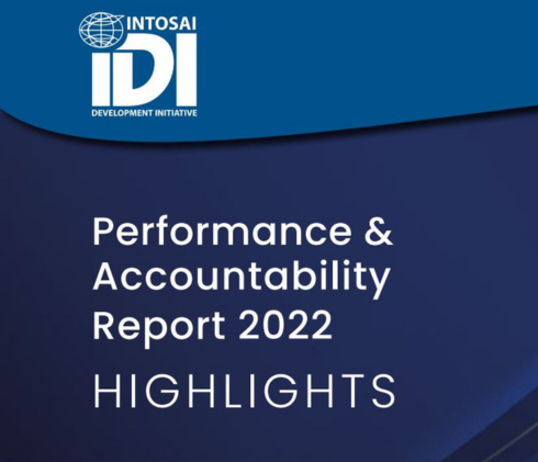IDI Performance and Accountability Report 2021 Highlights document cover image