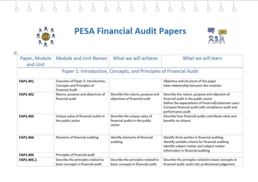 Cover image of PESA-P Financial Module info sheet