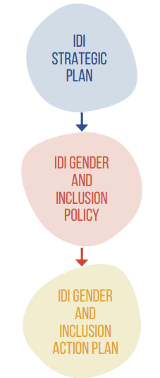 رسم بياني يوضح كيف تؤثر سياسة النوع الاجتماعي IDI على إستراتيجية النوع الإجتماعي IDI وخطة عمل النوع الإجتماعي IDI.