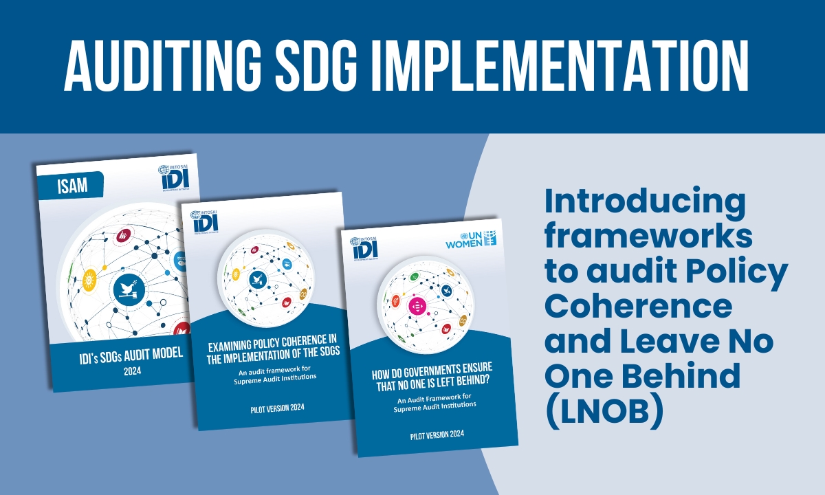 Auditing SDG implementation – Introducing frameworks to audit Policy Coherence and Leave No One Behind