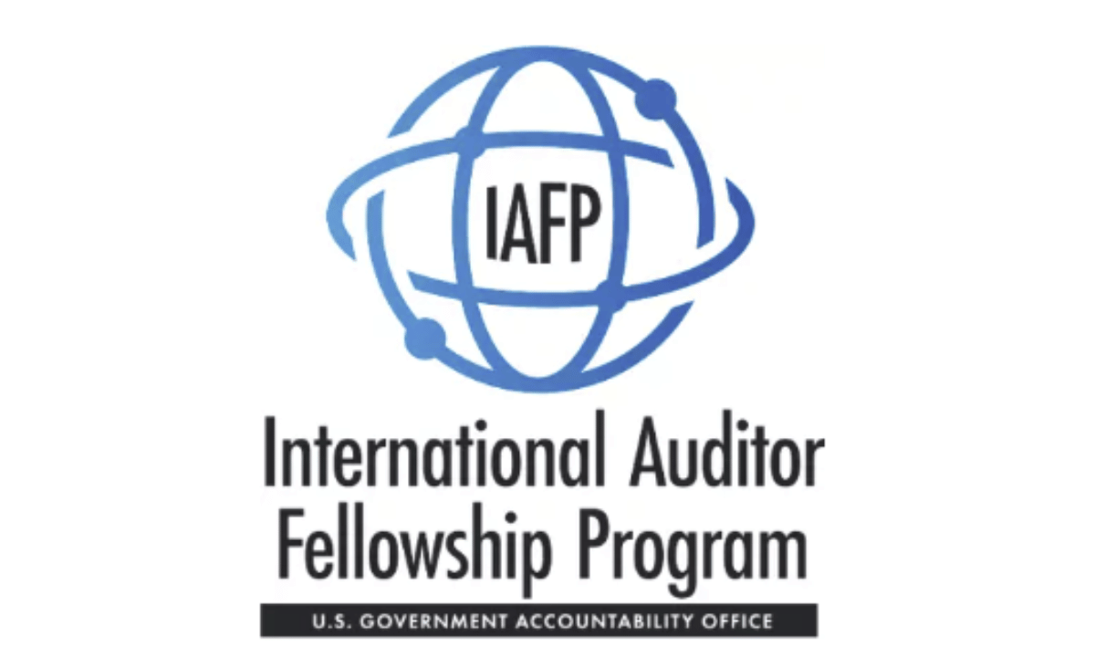 Logo International Auditor Fellowship Program
