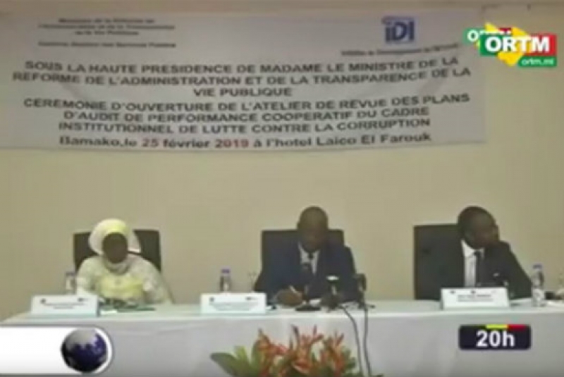 IDI´s Alain Memvuh on Mali TV News