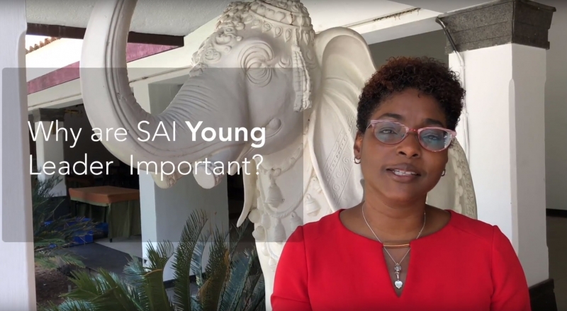 Why SAI Young Leaders are important for Supreme Audit Institutions?