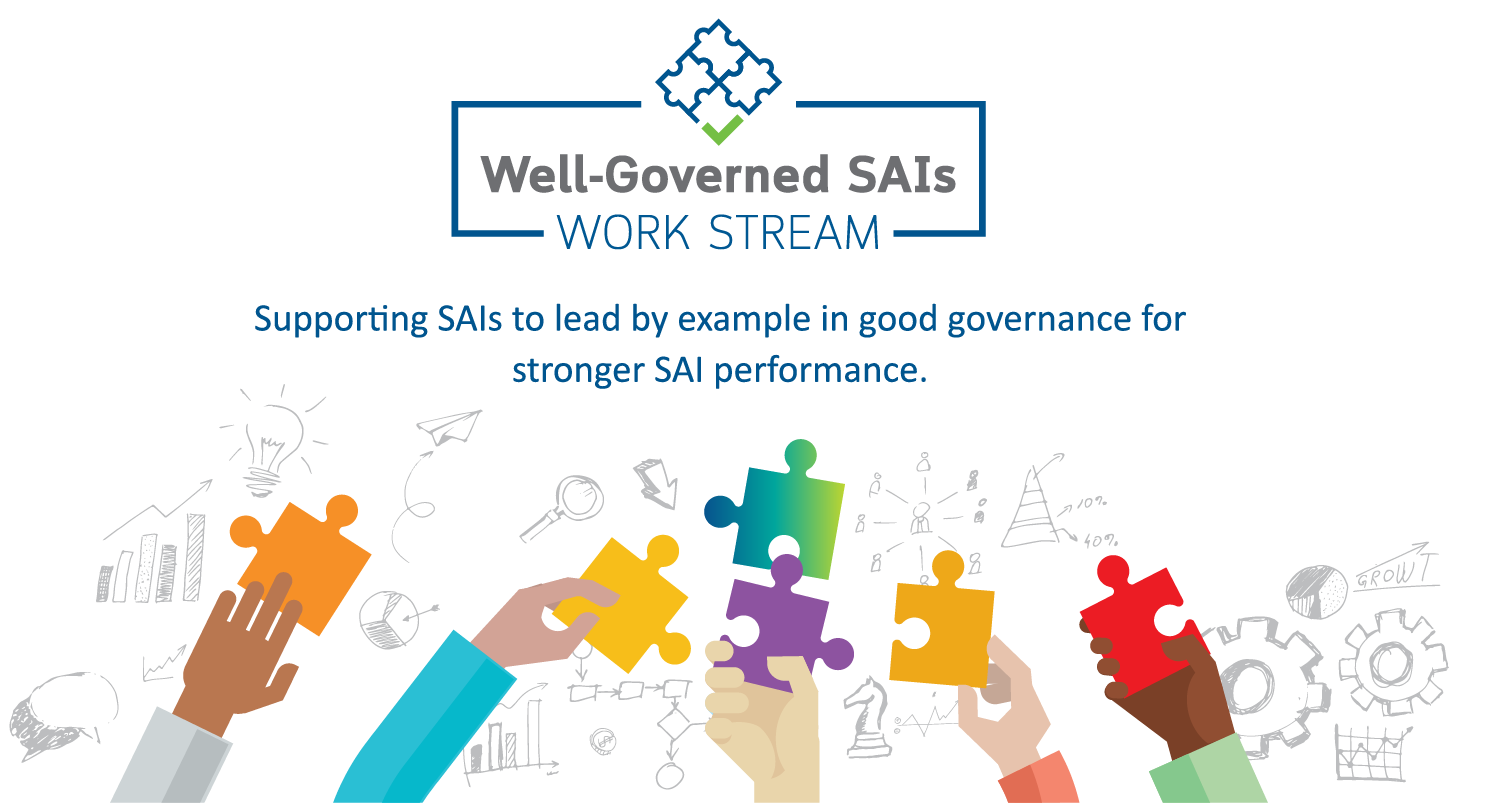 Well-Governed SAIs Work Stream