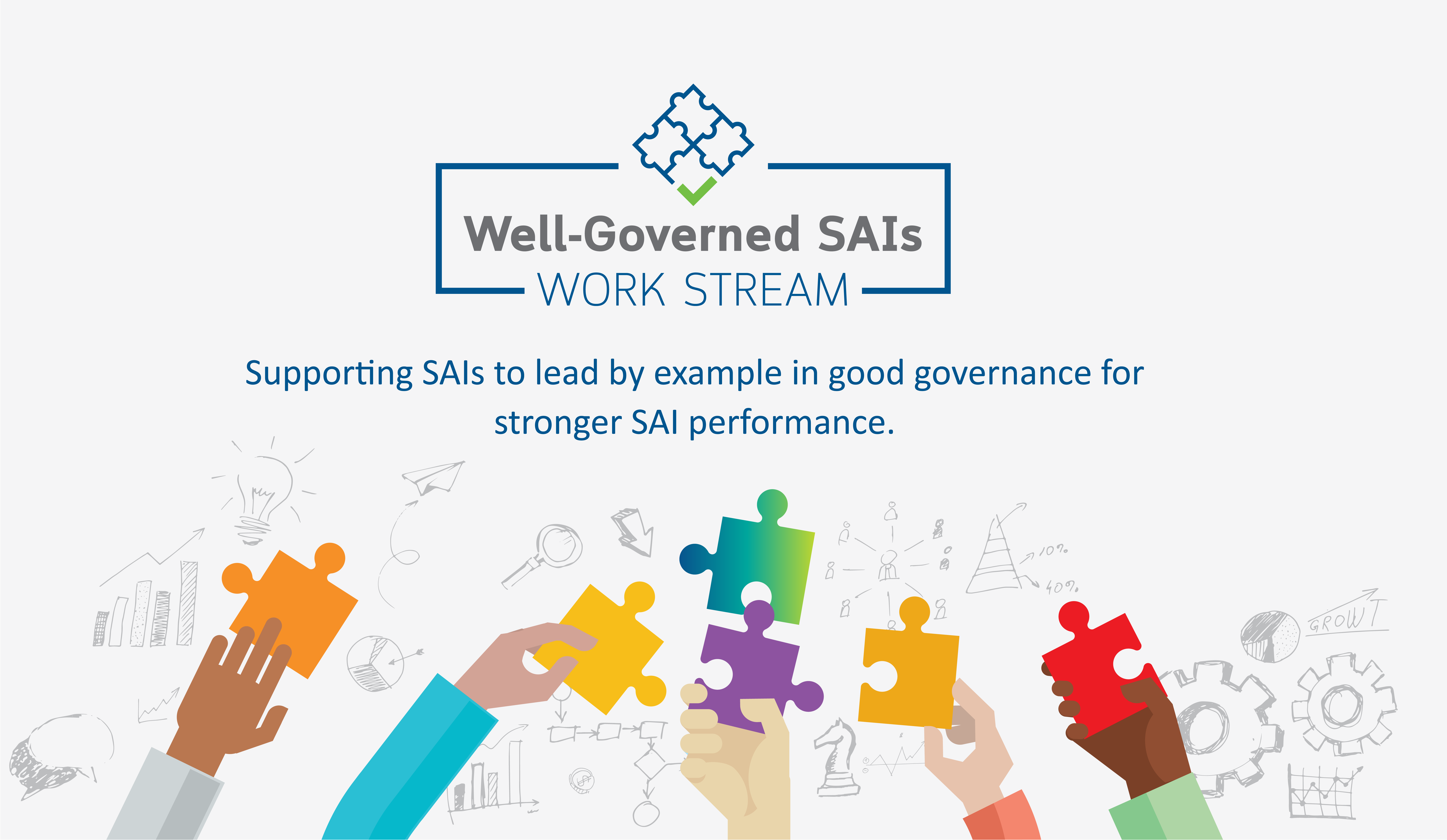 Well-Governed SAIs Work Stream