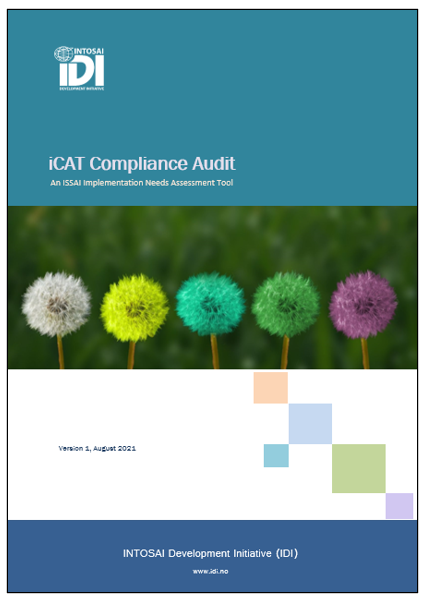 Compliance Audit iCAT V1