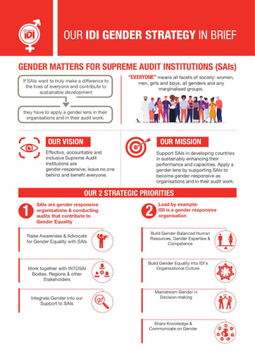 IDI Gender Strategy Infographic