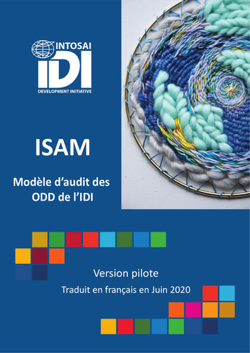 Modèle d’audit des ODD de l’IDI (ISAM)