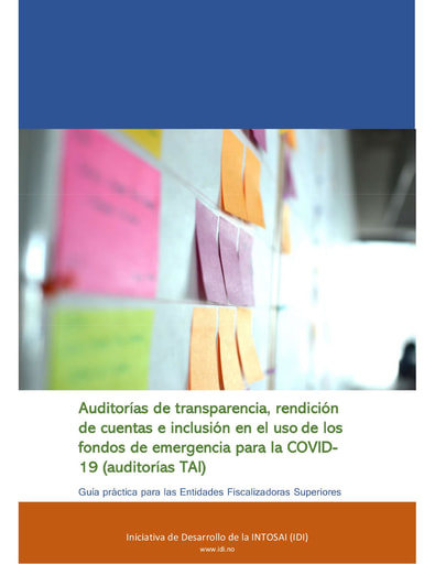 TAI Audit  practical guide FINAL Spanish