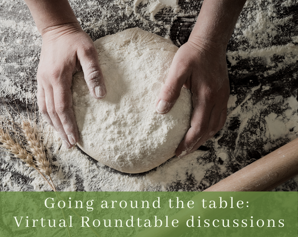 Healthy Interactions – Going around the table: Virtual Roundtable discussions