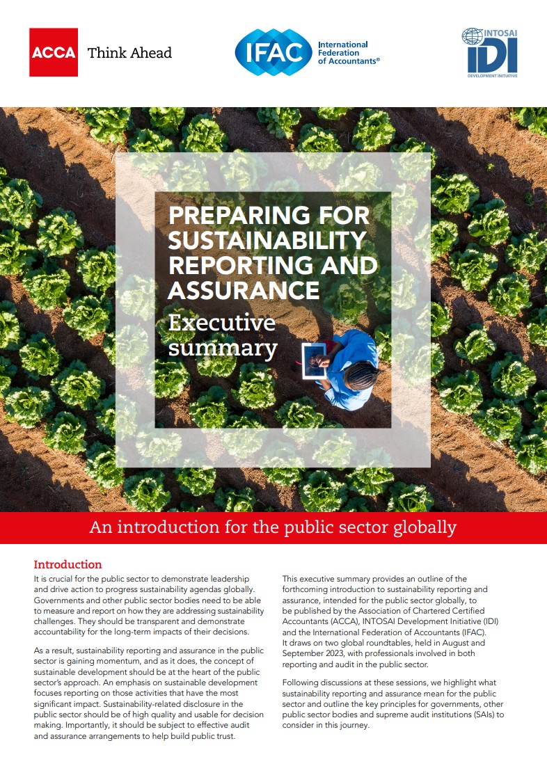 IDI ACCA IFAC SUSTAINABILITY REPORTING EXEC SUMMARY