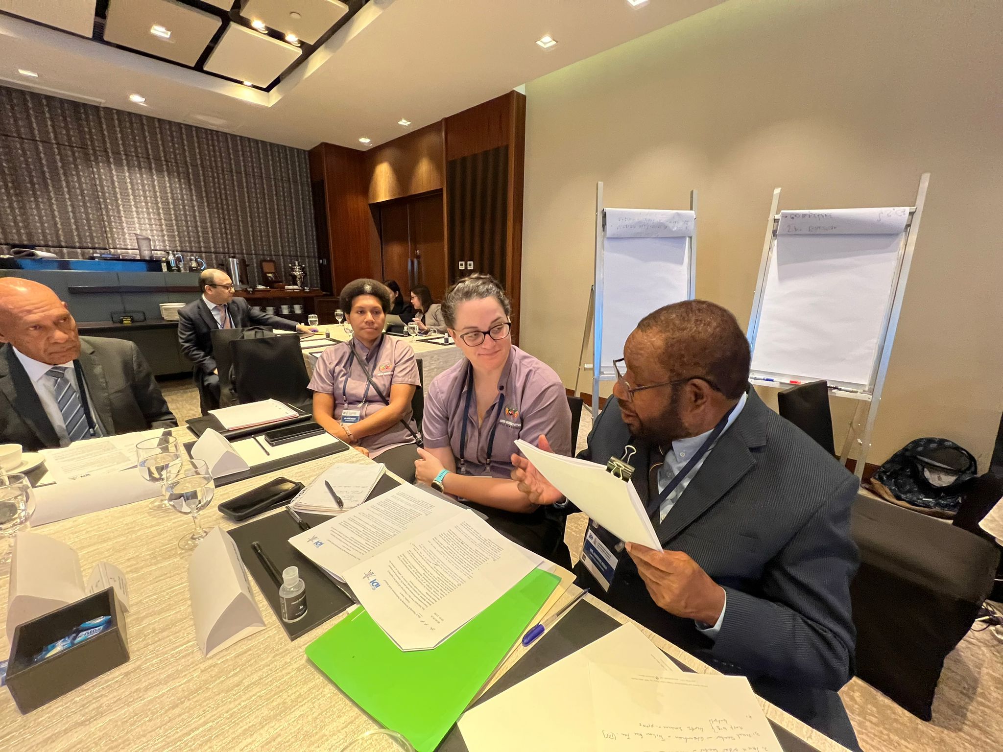 Sustainable Audit Practices in Action