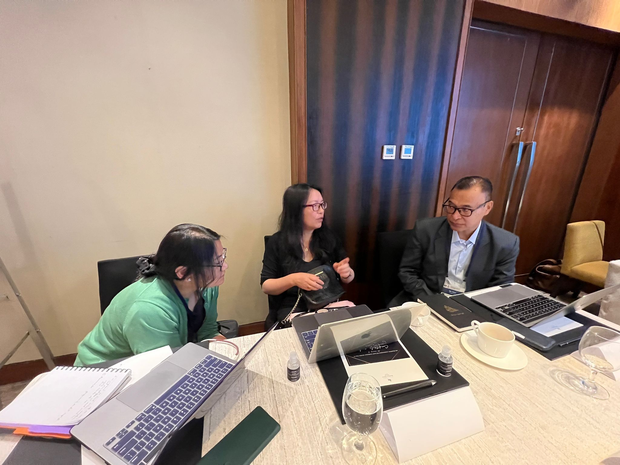 Sustainable Audit Practices in Action