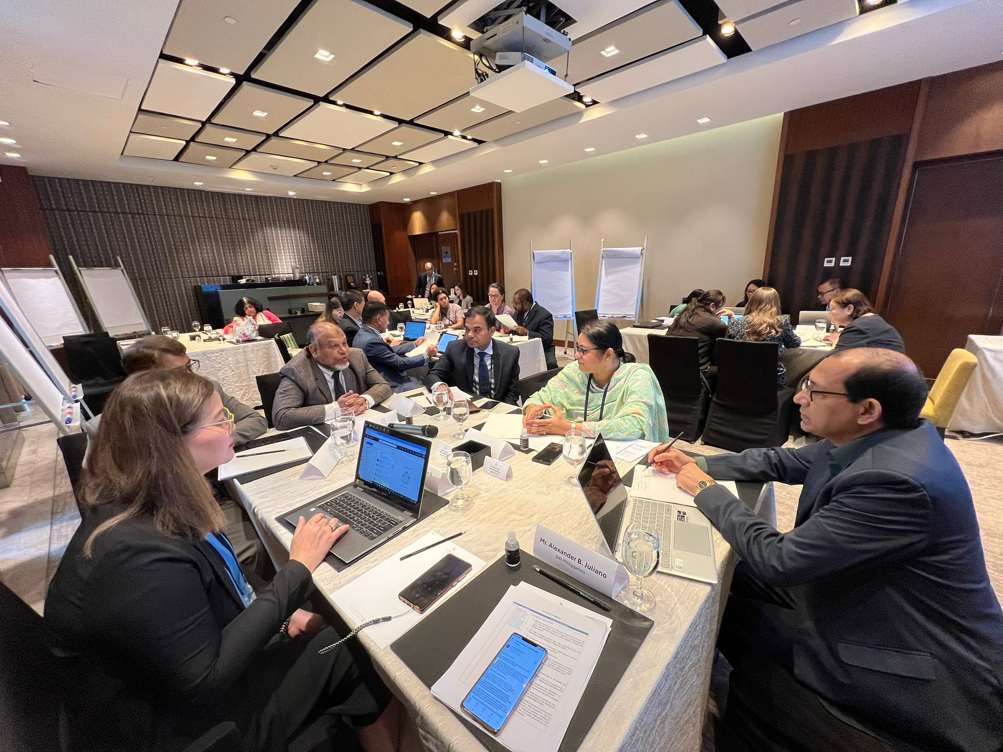 Sustainable Audit Practices in Action