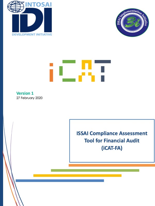 IDI Financial Audit  iCAT Version 1 English (LT review 2020)