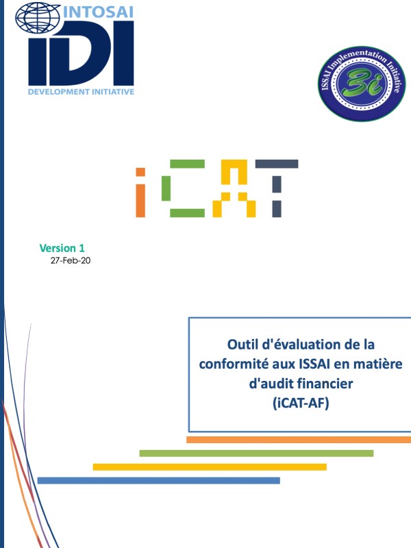 IDI Audit Financier iCAT Version 1 Français (Révision avec légères modifications de 2020)