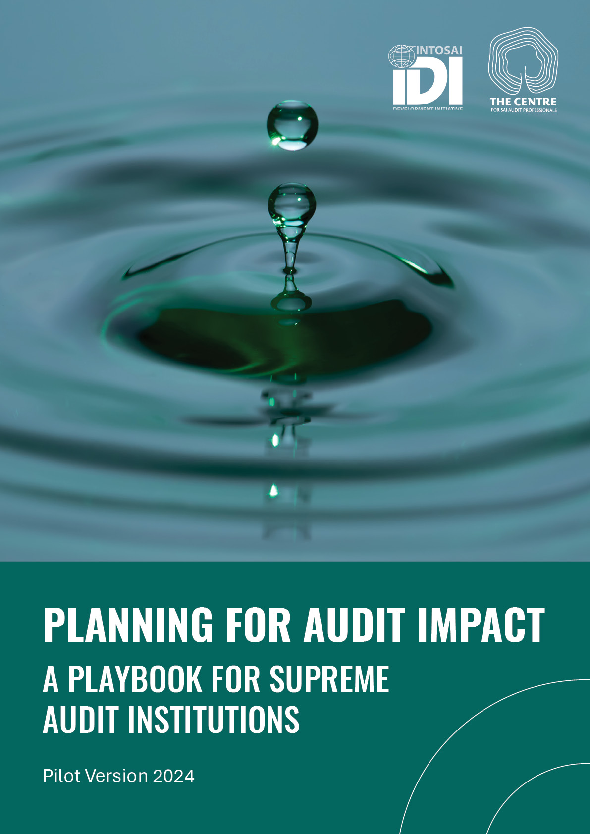 IDI Planning for Audit Impact Playbook