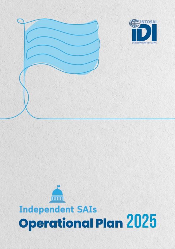 Independent SAIs Work Stream Operational Plan 2025