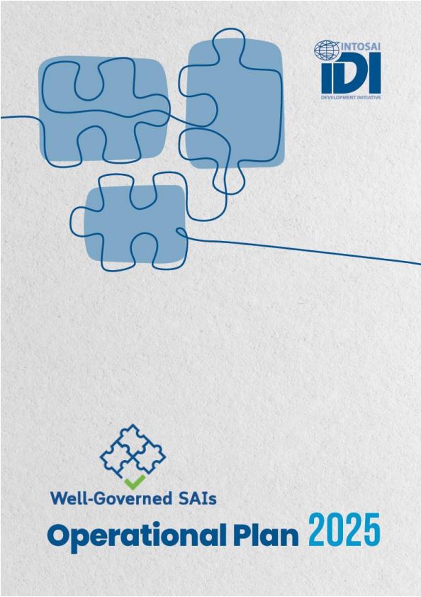 Well Governed SAIs Work Stream Operational Plan 2025