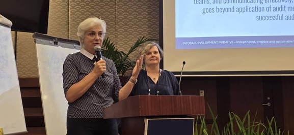 Sustainable Audit Practices in Action