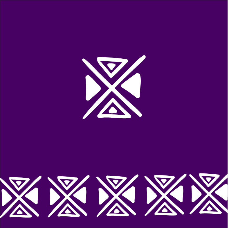 Phase 2 Env 6 Pilot Audits