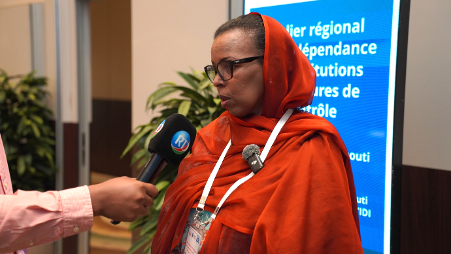 THE GLOBAL PROJECT IN ACTION