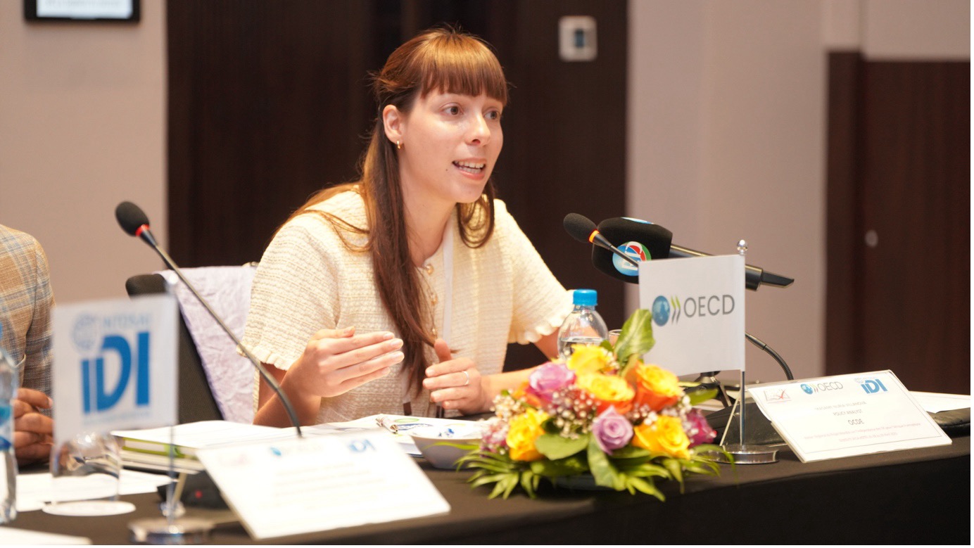 THE GLOBAL PROJECT IN ACTION