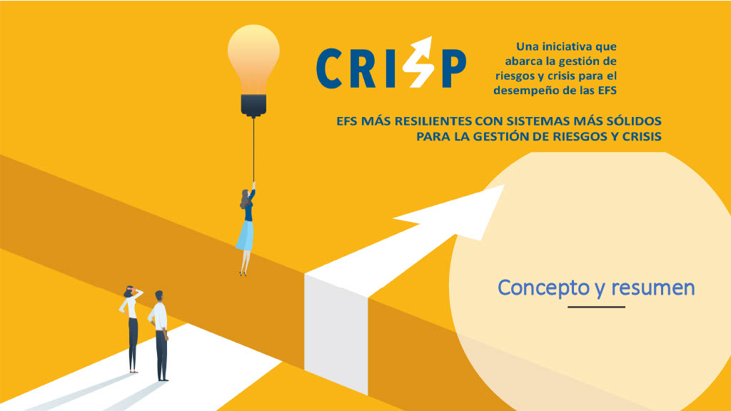 CRISP Concept and Overview V0 2 SPANISH 2