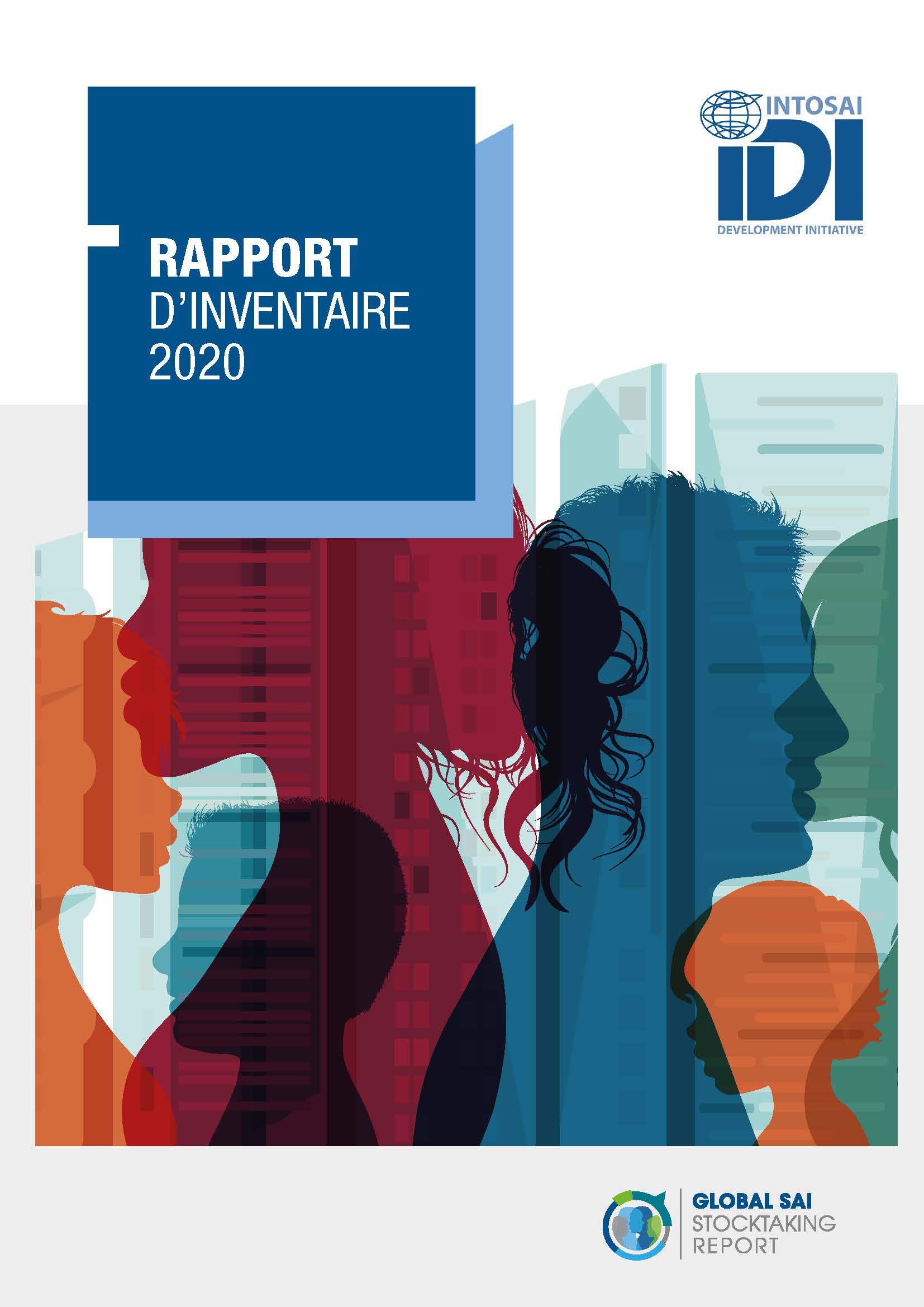 Global SAI Stocktaking Report 2020 (French)