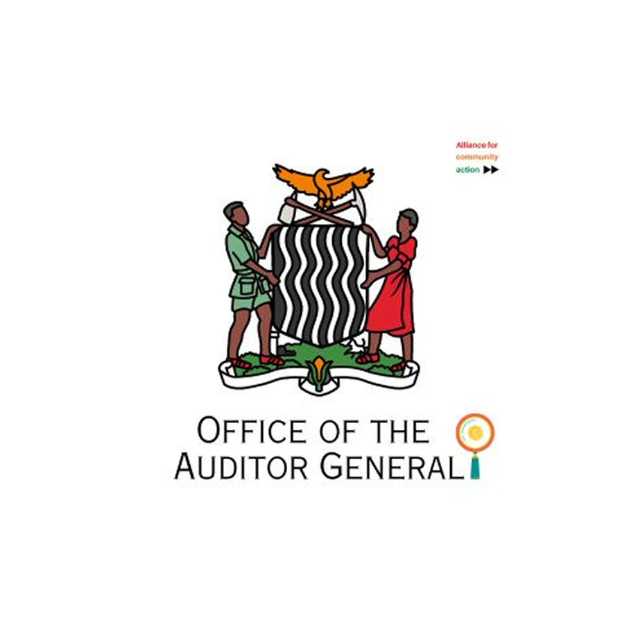 IMPLEMENTATION PARTNERS