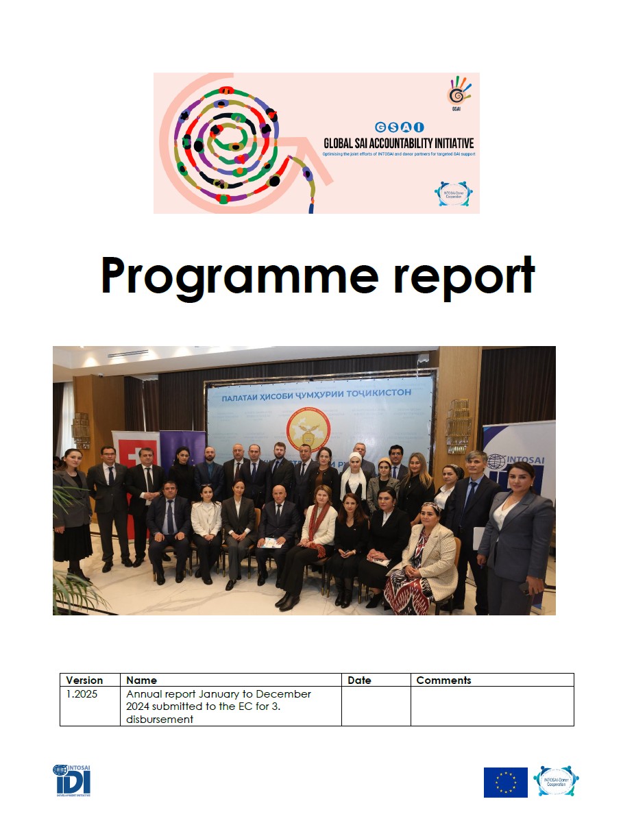 GSAI Programme Report 2024
