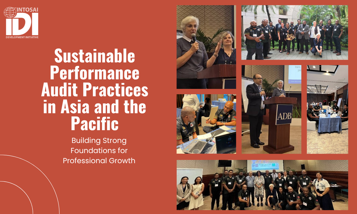 Building Strong Foundations for Professional Growth: SAI PNG Develops Its Mentoring System and Project Leadership Skills