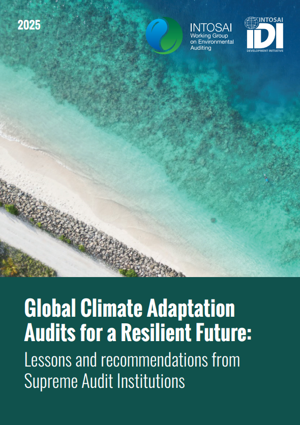 Global Climate Adaptation Audit (CCAA) for a Resilient Future – Global Publication