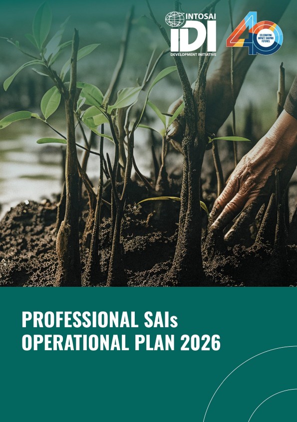 Professional SAIs Operational Plan 2026