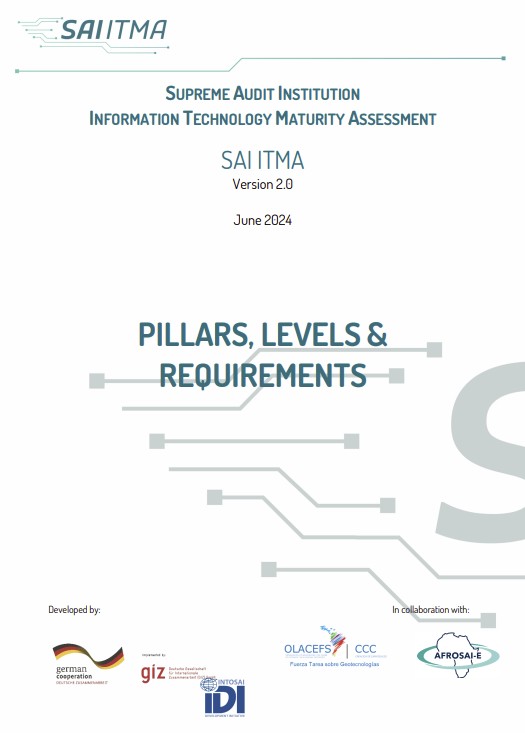 pICTure SAI ITMA Pillars, Levels and Requirements
