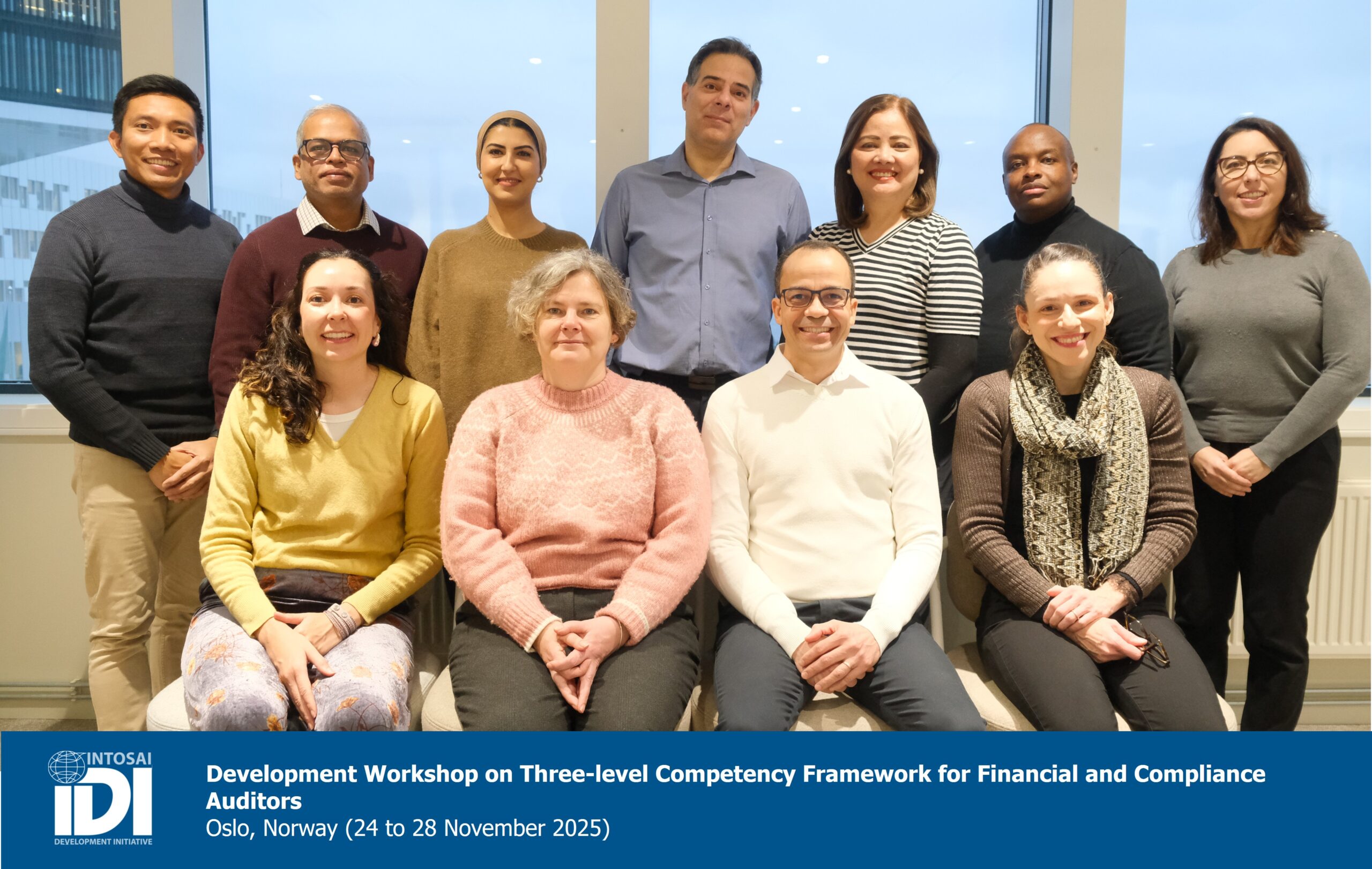 Building the Ladder for Financial and Compliance Audit Competencies