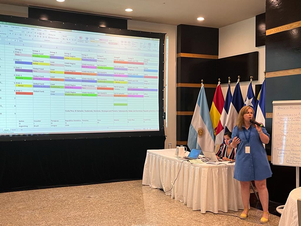 BUSS OLACEFS IN ACTION 