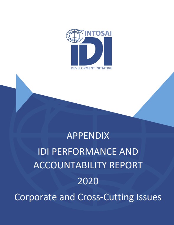 IDI Performance and Accountability Report 2020 Appendix: Corporate and Cross-Cutting Issues