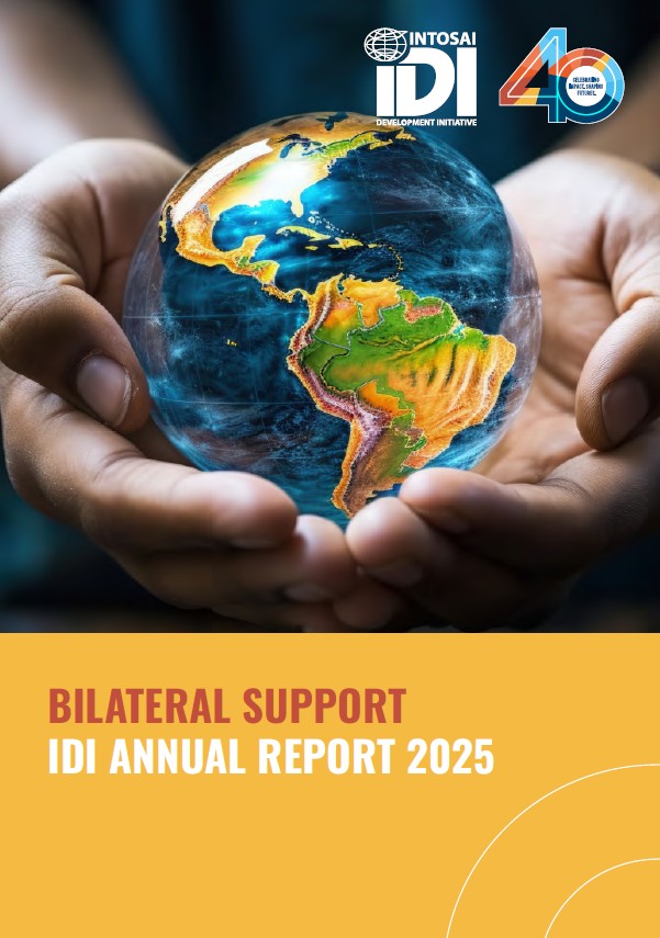 Work Stream Annual Report 2025 Bilateral Support