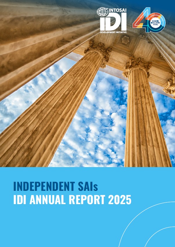 Work Stream Annual Report 2025 Independent SAIs