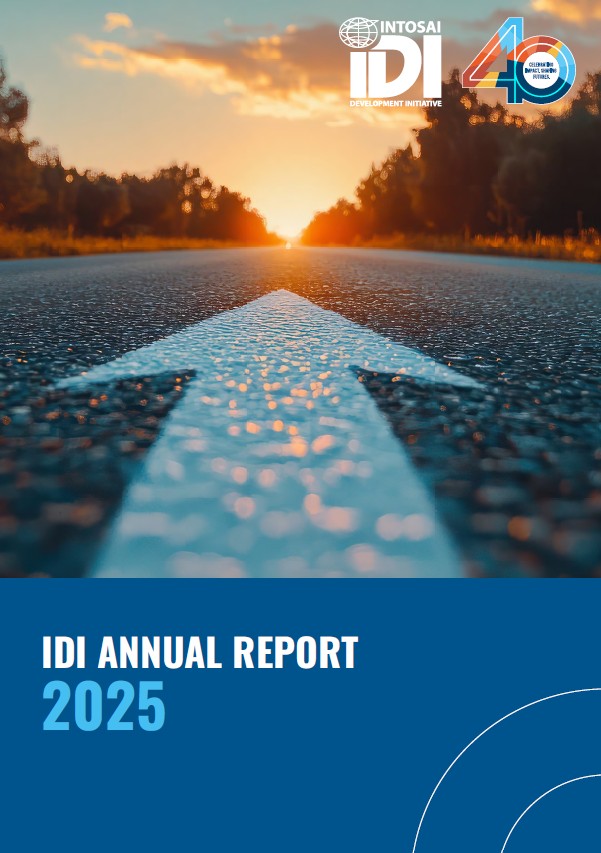IDI Annual Report 2025