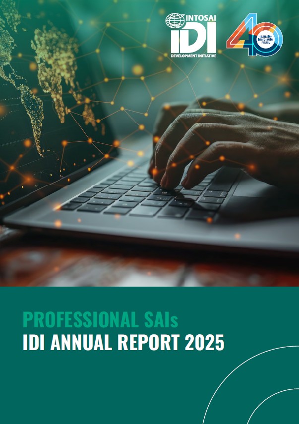 Work Stream Annual Report 2025 Professional SAIs