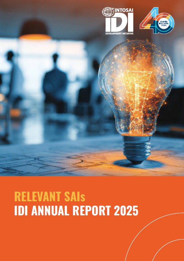 Work Stream Annual Report 2025 Relevant SAIs