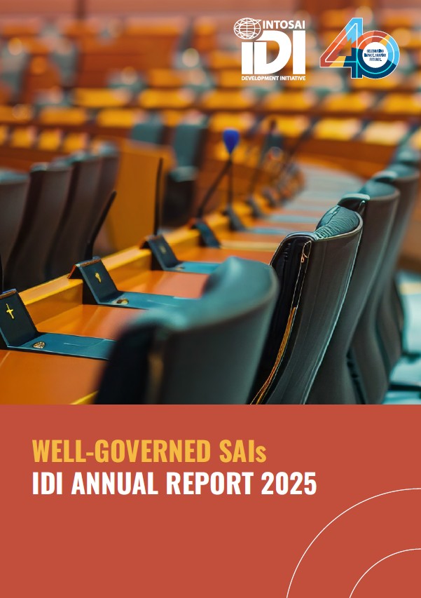 Work Stream Annual Report 2025 Well Governed SAIs