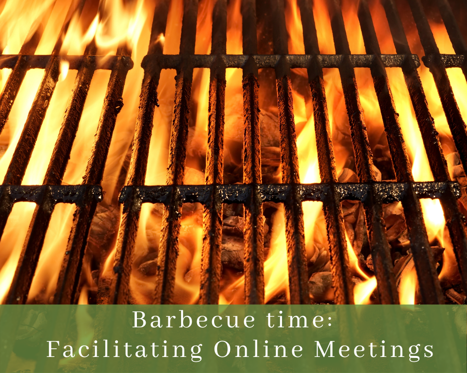Healthy Interactions – Barbecue time: Facilitating Online Meetings