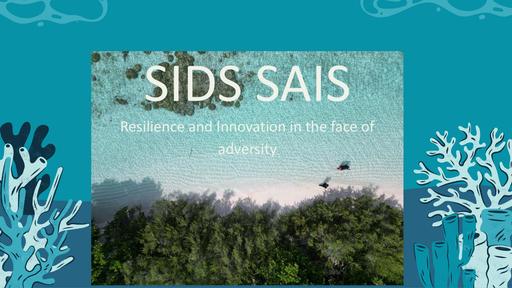 3 Jaleel SIDS SAIs compressed