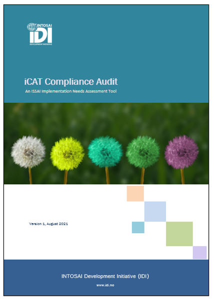Compliance Audit iCAT V1 (English)